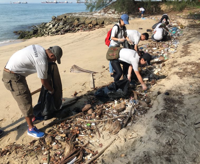 Beach Coastal Clean Ups Waterways Watch Society