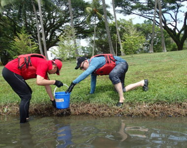 waterways clean up programme